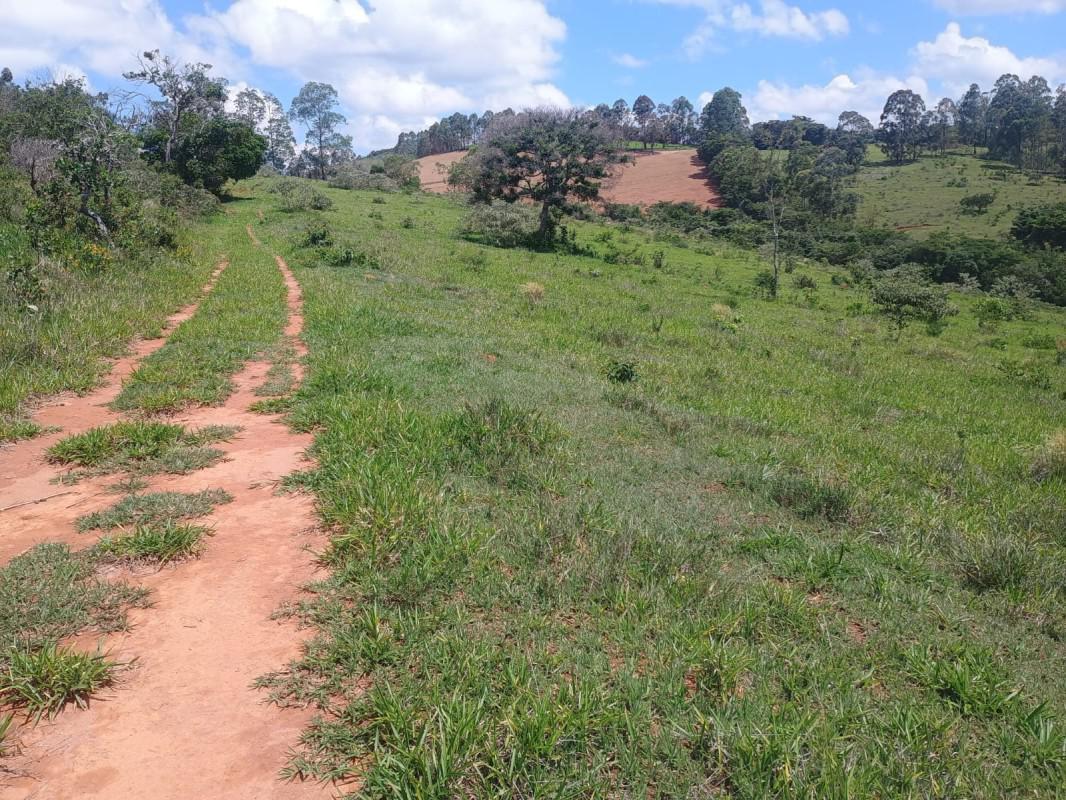 Fazenda, Zona Rural, 0 Quarto, 0 Vaga