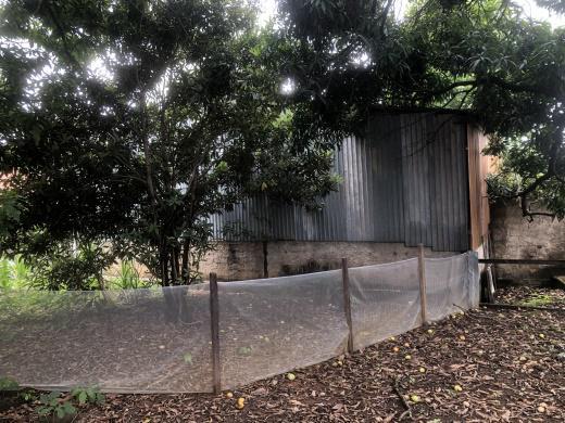 Lote, Bandeirantes (pampulha)