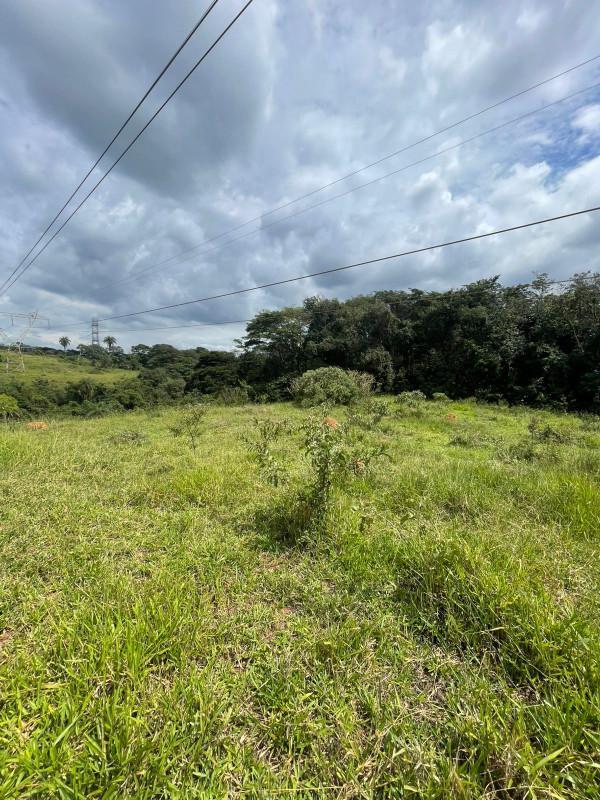 Fazenda, Centro, 8 Quartos, 0 Vaga