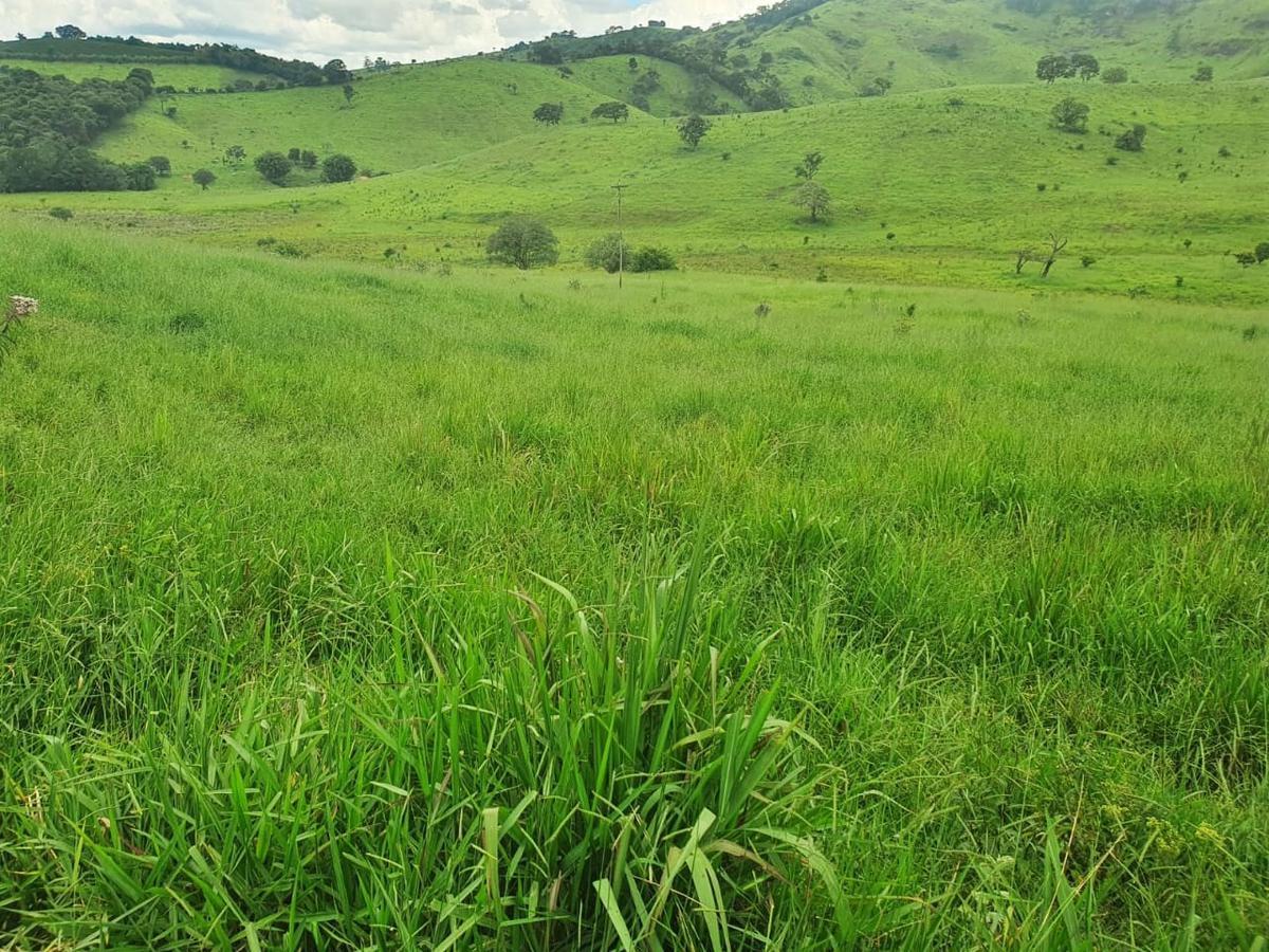Fazenda, Centro, 3 Quartos, 0 Vaga