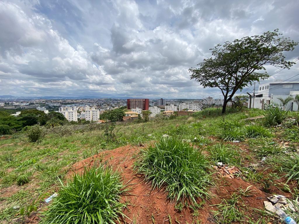 Lote, Chácara Cotia, 0 Quarto, 0 Vaga