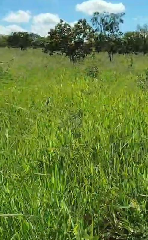 Fazenda, Zona Rural, 0 Quarto, 0 Vaga