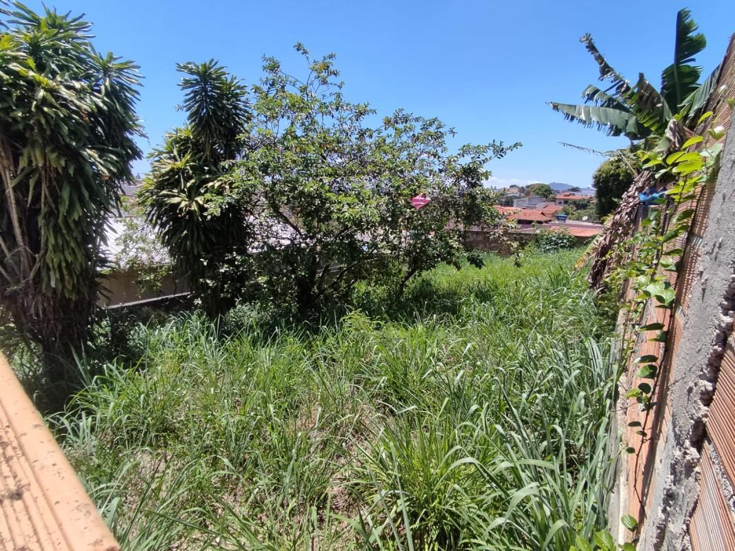 Lote, Santa Cruz, 0 Quarto, 0 Vaga