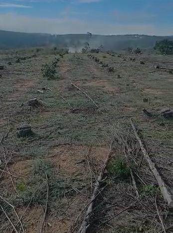 Fazenda, Zona Rural, 1 Quarto, 0 Vaga