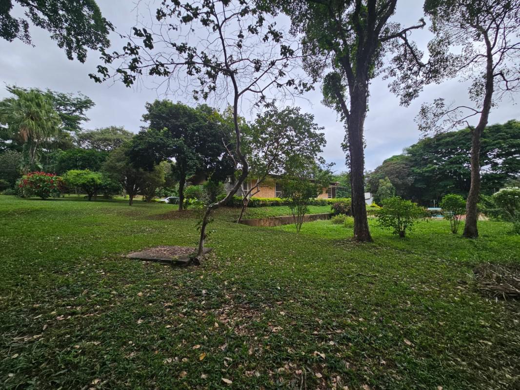 Lote, Braúnas, 0 Quarto, 0 Vaga