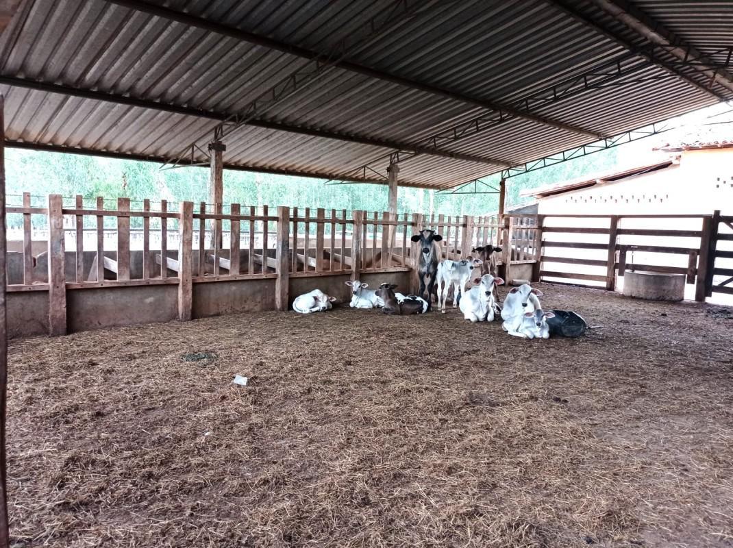 Fazenda, Zona Rural, 0 Quarto, 0 Vaga