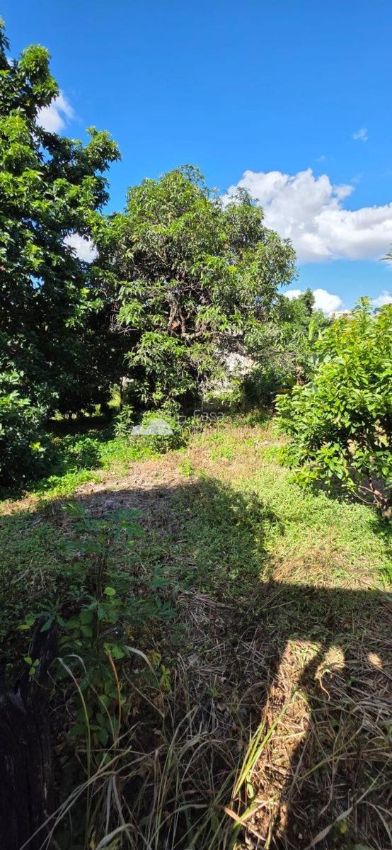 Lote, Santa Amélia, 0 Quarto, 0 Vaga