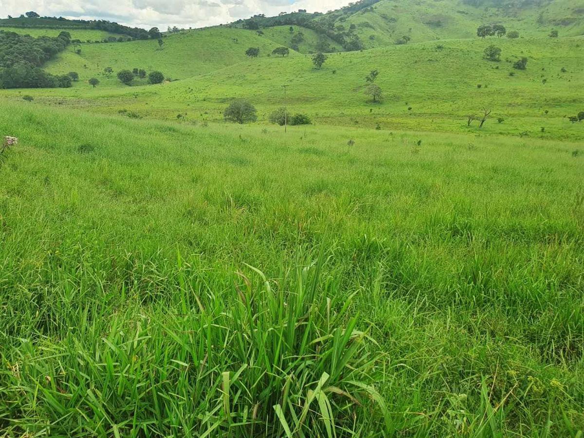 Fazenda, Zona Rural, 4 Quartos, 0 Vaga