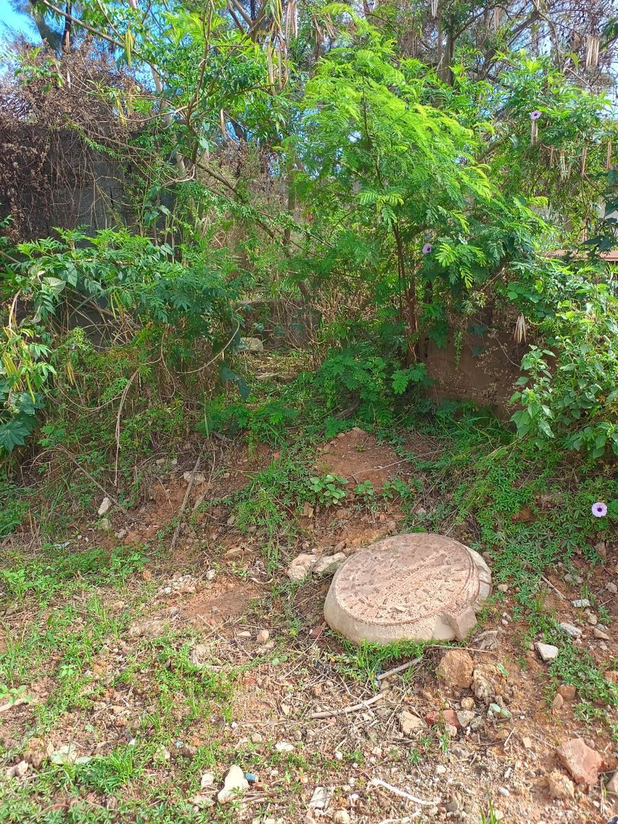 Lote, Quintas Coloniais, 0 Quarto, 0 Vaga