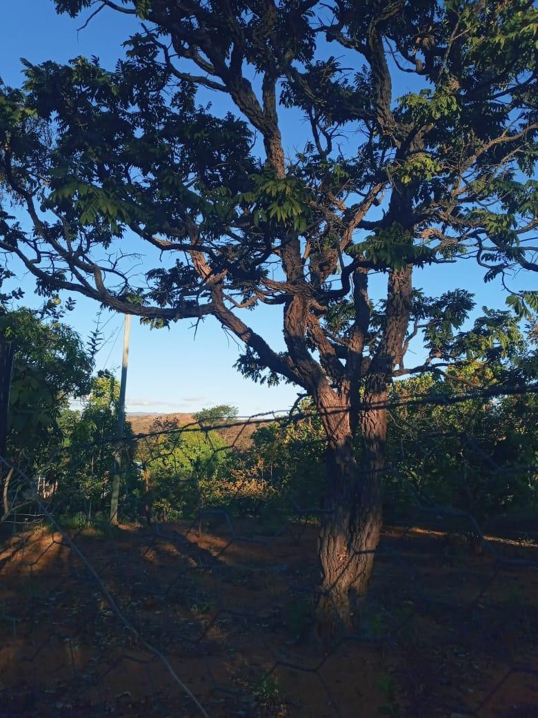 Lote, Zona Rural, 0 Quarto, 0 Vaga