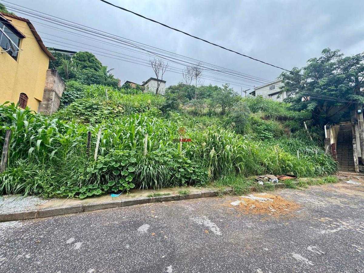 Lote, Independência, 0 Quarto, 0 Vaga