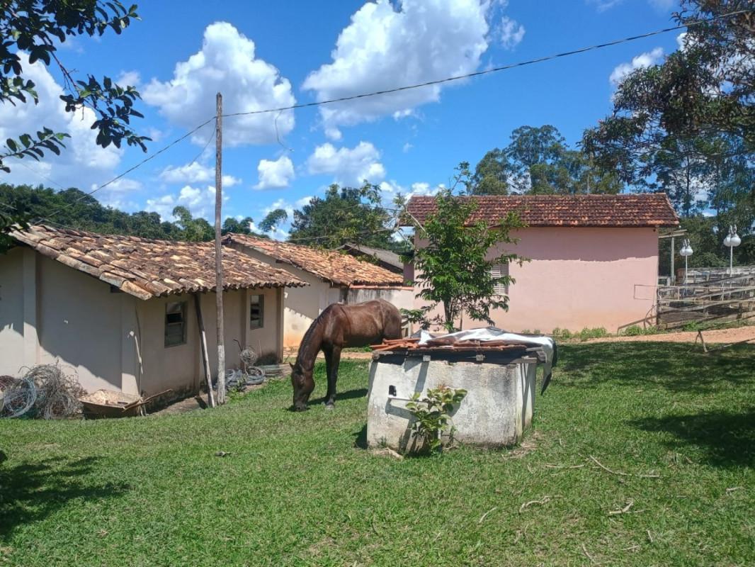 Fazenda, Zona Rural, 0 Quarto, 0 Vaga