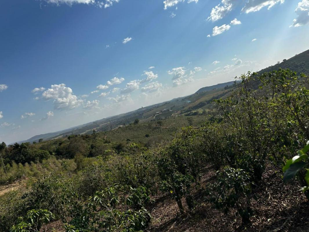 Fazenda, Centro, 0 Quarto, 0 Vaga