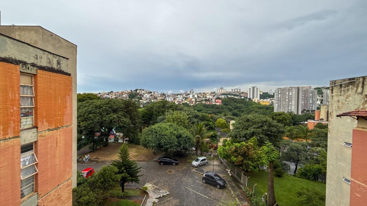 Apartamento, Palmeiras, 3 Quartos, 1 Vaga