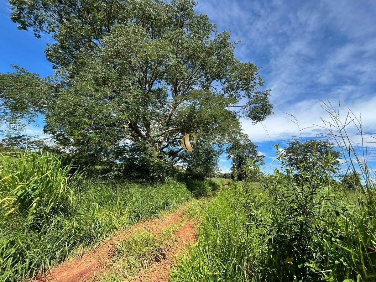 Lote, Zona Rural, 0 Quarto, 0 Vaga