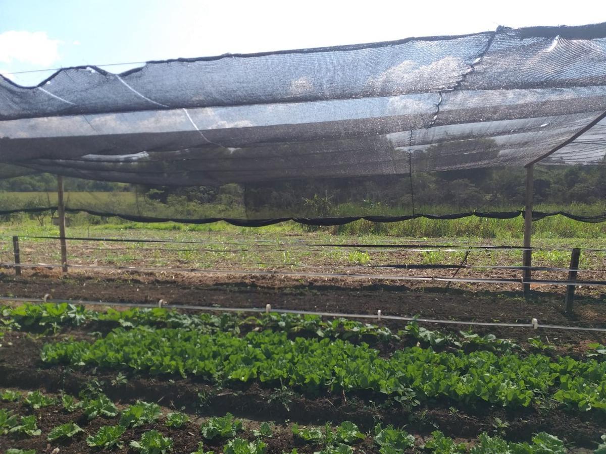 Fazenda, Urucuia, 4 Quartos, 6 Vagas, 1 Suíte