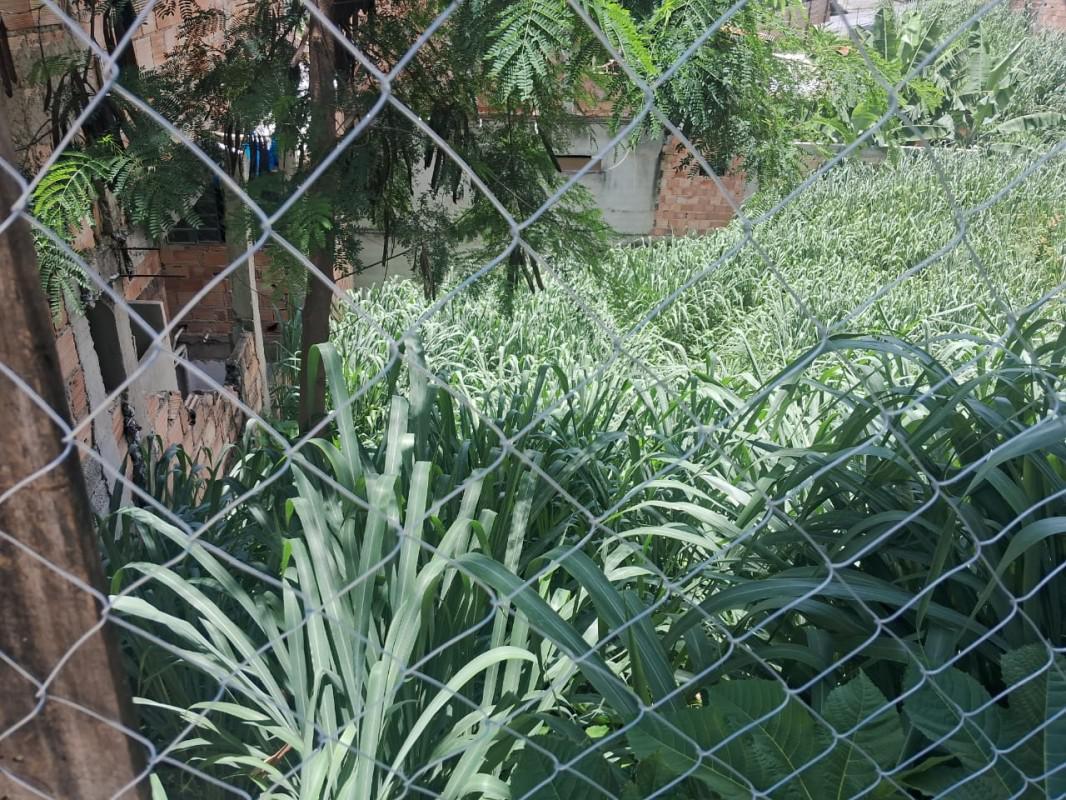 Lote, Jardim Vitória, 0 Quarto, 0 Vaga
