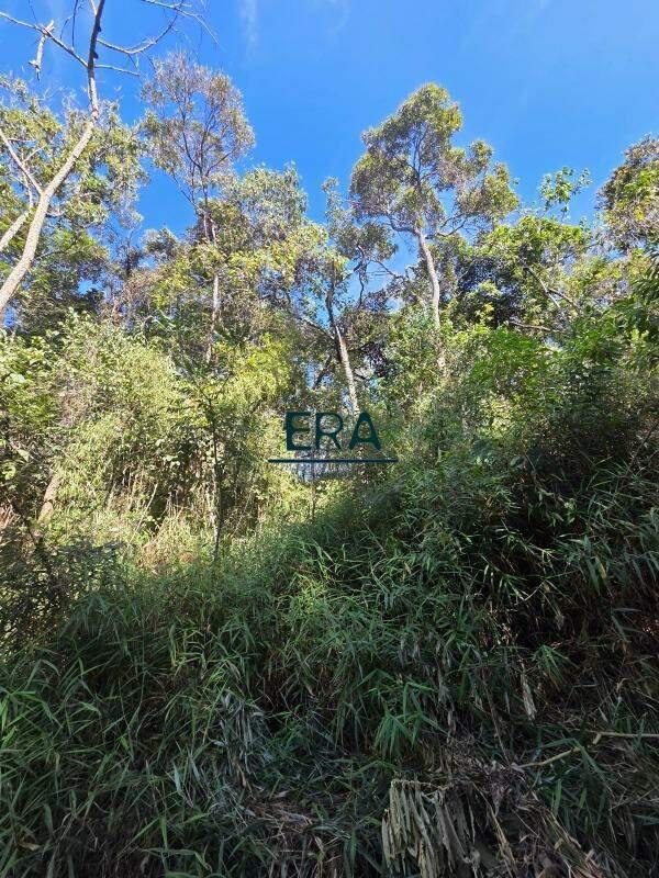 Lote, Village Sans Souci, 0 Quarto, 0 Vaga