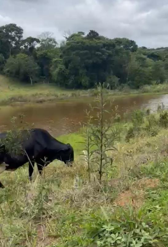 Fazenda, Zona Rural, 3 Quartos, 0 Vaga