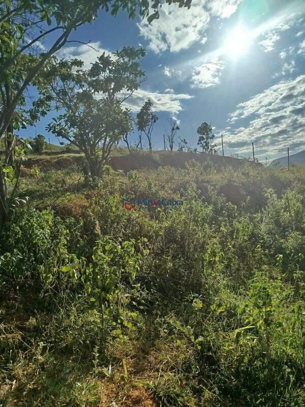 Fazenda, Bela Vista, 0 Quarto, 5 Vagas