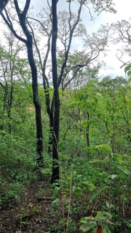 Fazenda, Centro, 0 Quarto, 0 Vaga