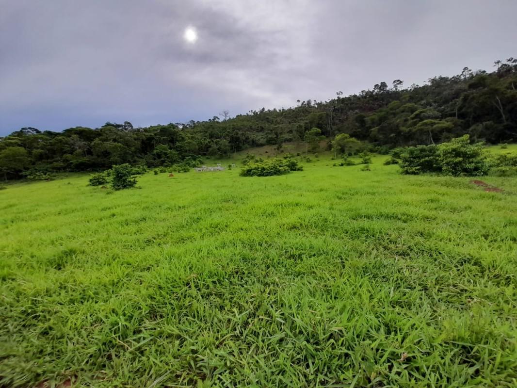Fazenda, Zona Rural, 8 Quartos, 0 Vaga