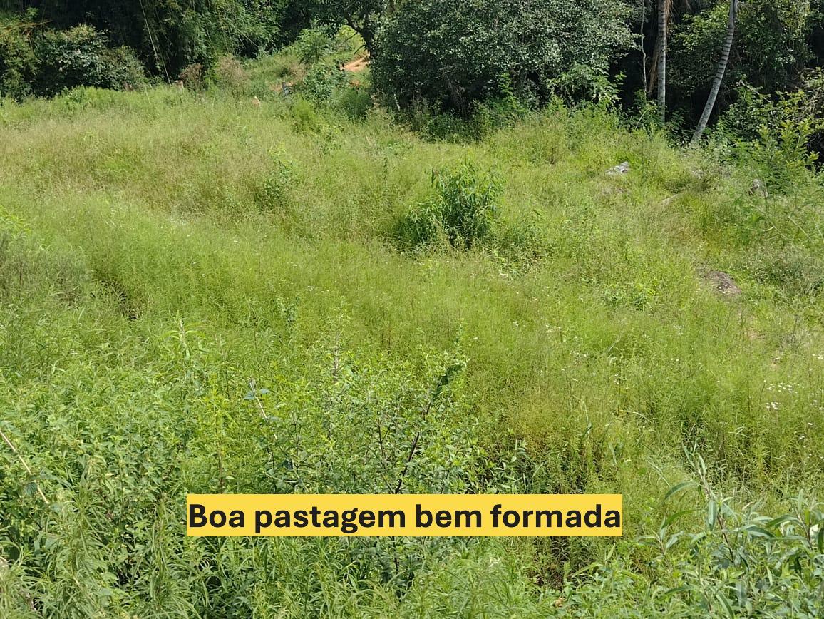 Fazenda, Zona Rural, 0 Quarto, 0 Vaga