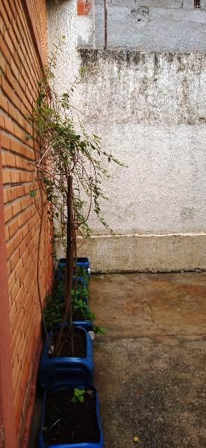 Casa, Santa Amélia, 4 Quartos, 15 Vagas, 1 Suíte