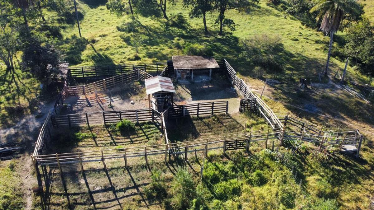 Fazenda, Melo Viana, 0 Quarto, 0 Vaga