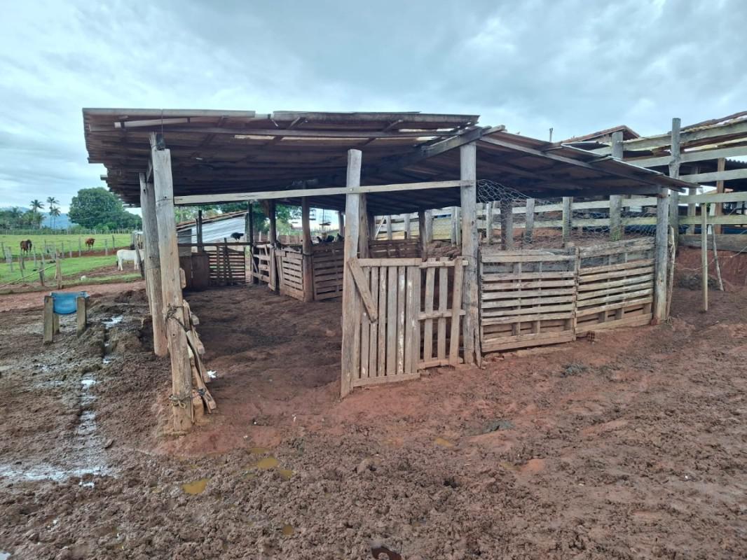 Fazenda, Zona Rural, 0 Quarto, 0 Vaga