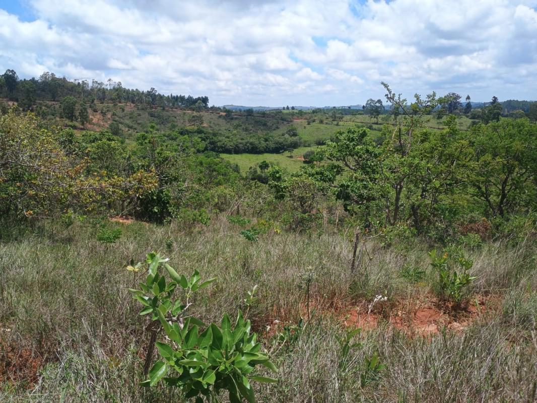 Fazenda, Zona Rural, 0 Quarto, 0 Vaga