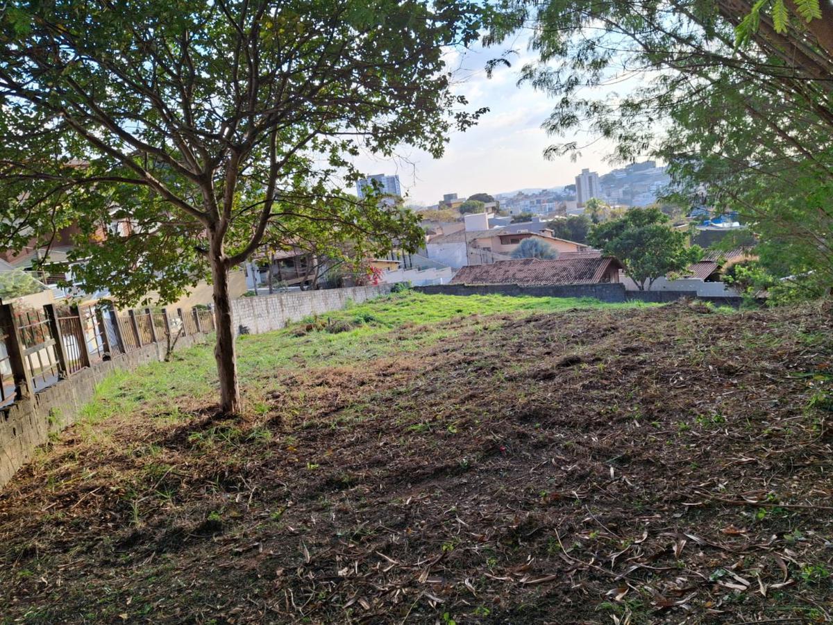 Lote, Estoril, 0 Quarto, 0 Vaga