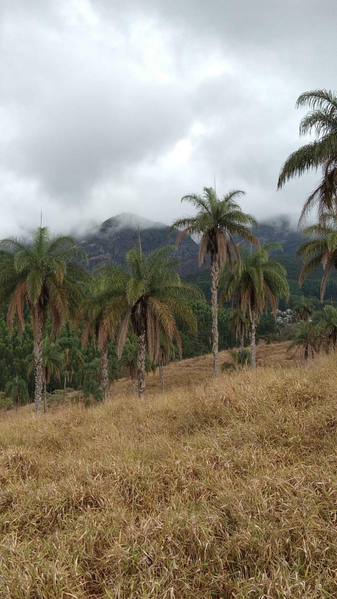 Lote, Zona Rural, 0 Quarto, 0 Vaga