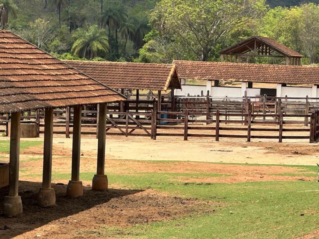 Fazenda, Zona Rural, 4 Quartos, 0 Vaga