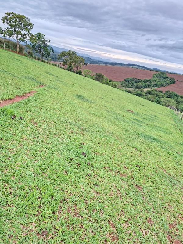 Fazenda, Zona Rural, 0 Quarto, 0 Vaga