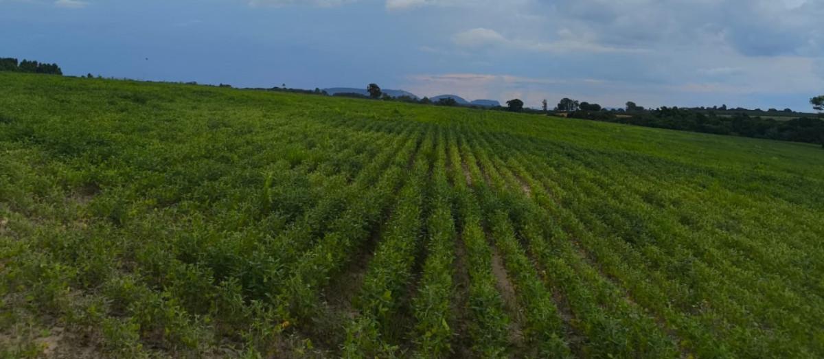 Fazenda, Zona Rural, 0 Quarto, 0 Vaga