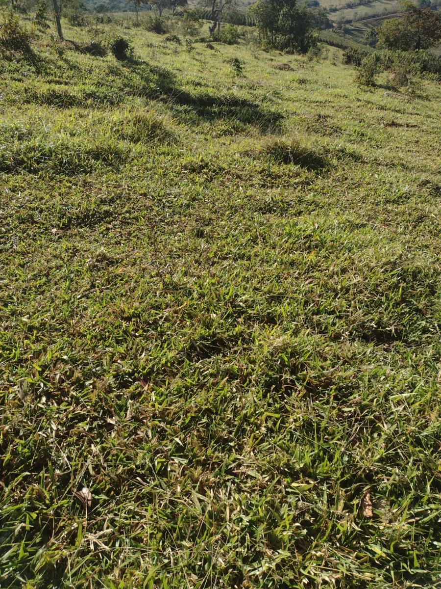 Fazenda, Centro, 1 Quarto, 0 Vaga