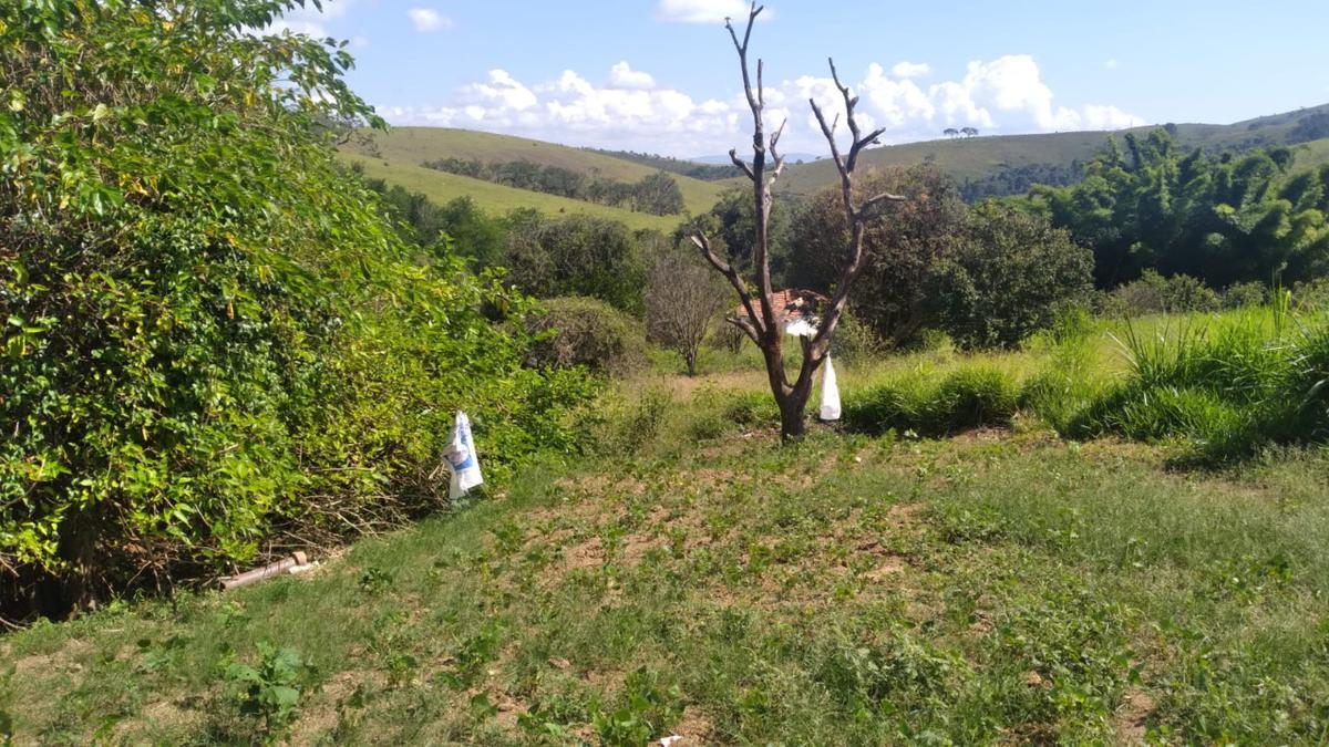 Fazenda, Centro, 0 Quarto, 0 Vaga