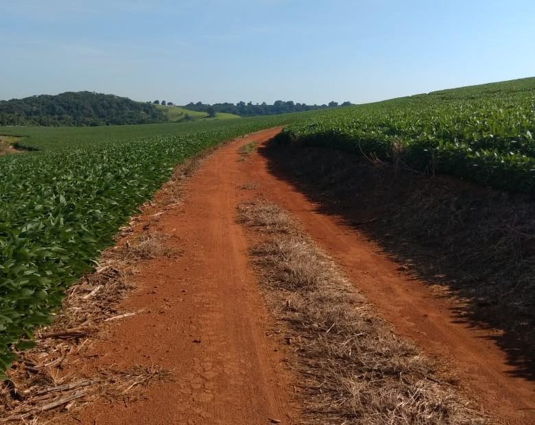 Fazenda, Centro, 0 Quarto, 0 Vaga