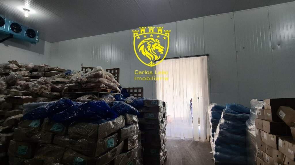 Galpão, Havaí, 9 Quartos, 12 Vagas, 1 Suíte