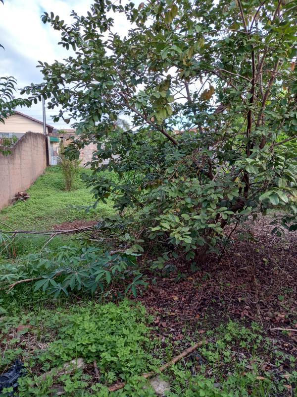 Lote, Jardim Sion, 0 Quarto, 0 Vaga