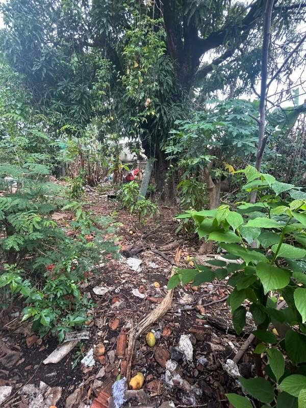 Lote, Santa Branca, 0 Quarto, 0 Vaga