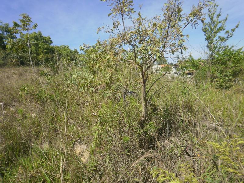 Lote, Recreio dos Bandeirantes, 0 Quarto, 0 Vaga