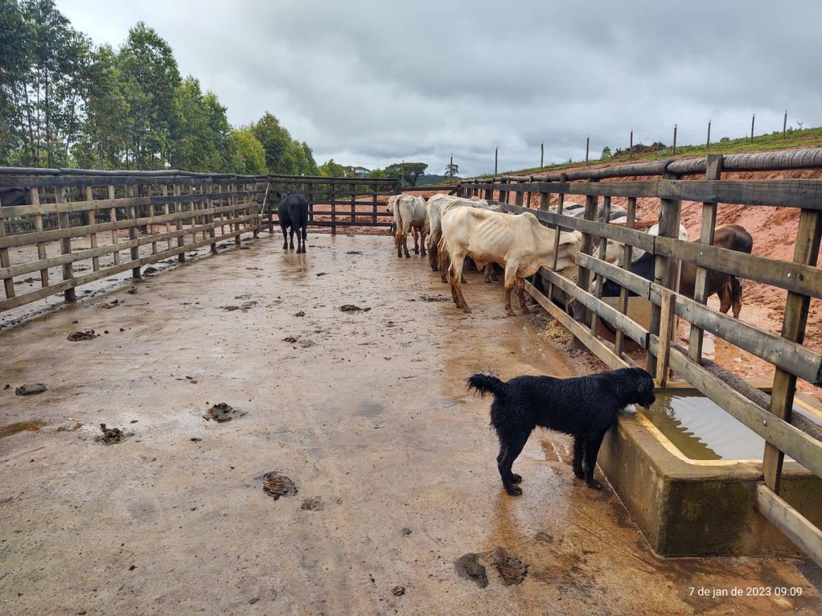 Fazenda, Centro, 3 Quartos, 4 Vagas, 1 Suíte