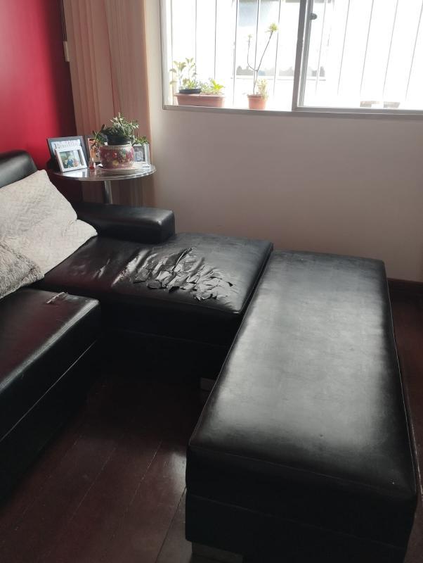 Apartamento, Cidade Nova, 3 Quartos, 1 Vaga, 1 Suíte