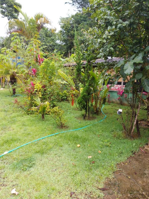 Fazenda, Macacos, 7 Quartos, 12 Vagas, 4 Suítes