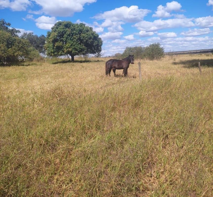 Fazenda, Zona Rural, 0 Quarto, 0 Vaga