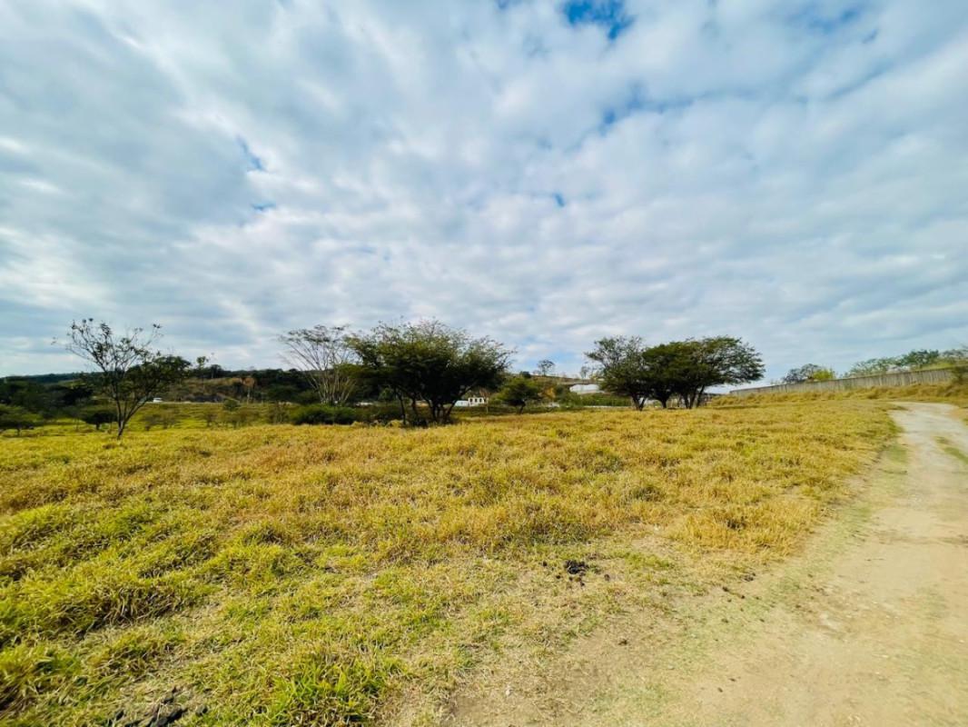 Lote, Lagoa dos Mares, 0 Quarto, 0 Vaga