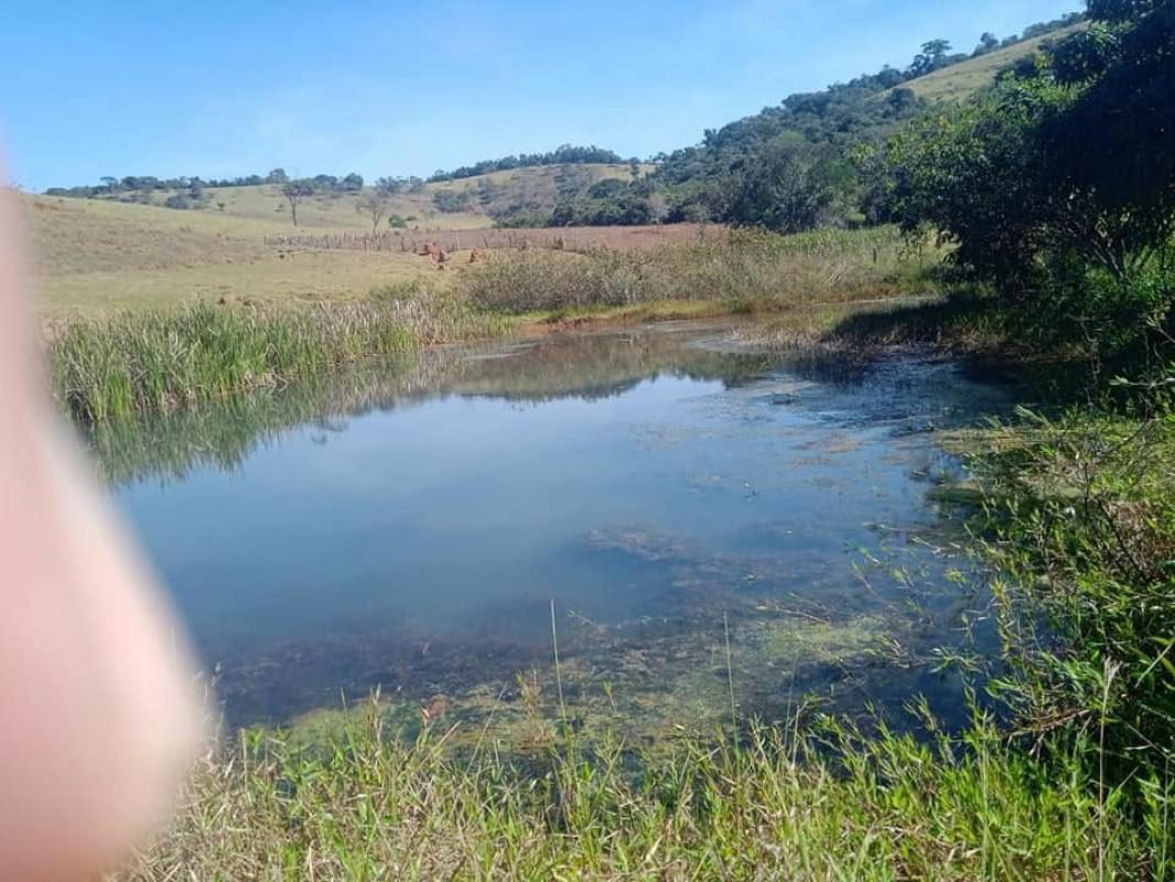 Fazenda, Centro, 0 Quarto, 0 Vaga