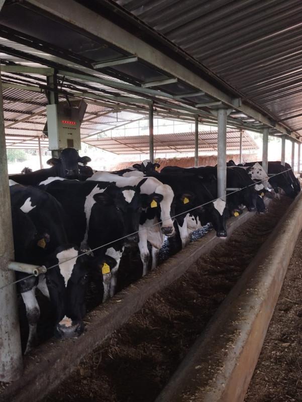 Fazenda, Área Rural de Pará de Minas, 0 Quarto, 0 Vaga